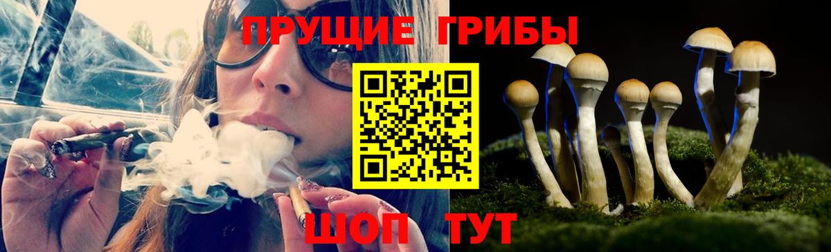 Галлюциногенные грибы GOLDEN TEACHER  Псилоцибиновые грибы Magic Shrooms  Краснознаменск  Вход с VPN 